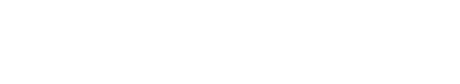 Proton Group